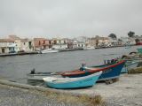 DSCN2894.JPG