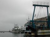 DSCN3023.JPG