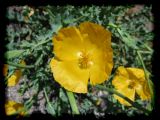 06_04_457.JPG