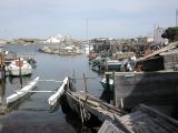 DSCN3773