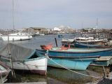 DSCN3787