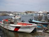 DSCN3796
