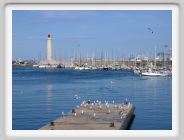 IMG_4763.JPG