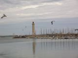 IMG_2104.JPG