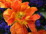 IMG_2215.JPG