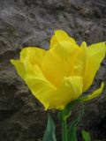 IMG_2234.JPG