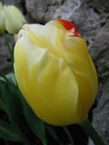 IMG_2240.JPG