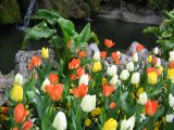 IMG_2244.JPG
