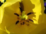 IMG_2265.JPG