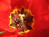 IMG_2266.JPG