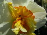 IMG_2269.JPG
