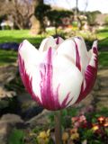 IMG_2274.JPG