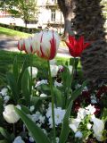 IMG_2280.JPG