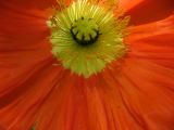 IMG_2286.JPG
