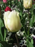 IMG_2293.JPG
