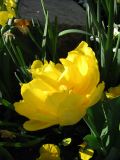 IMG_2295.JPG
