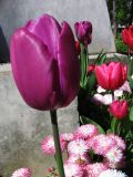 IMG_2300.JPG