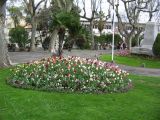 IMG_2195.JPG