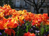 IMG_2310.JPG