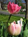 IMG_2318.JPG