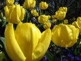 IMG_2320.JPG