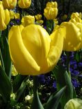 IMG_2321.JPG