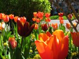 IMG_2325.JPG