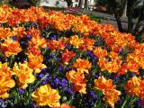IMG_2326.JPG