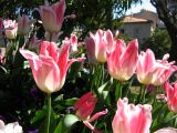 IMG_2328.JPG