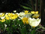 IMG_2338.JPG